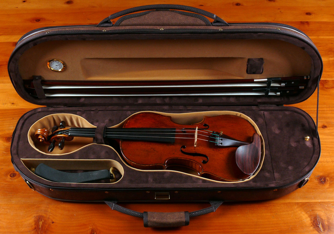 Violin case deals for sale